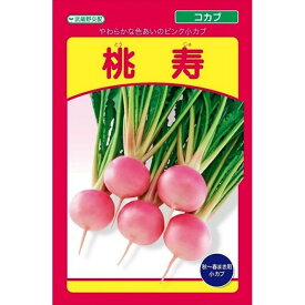 武蔵野種苗園　小カブ　桃寿　1ml【郵送対応】