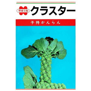 ̎@Lxc@NX^[ 100yXΉz