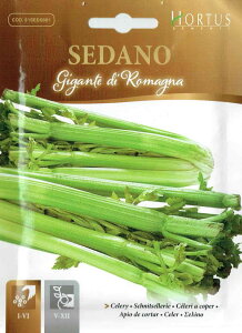 HORTUSЁ@Z[@}[j@Gigante di Romagna@(eʁF4g)@[Art.5801][COD.51SED5801]@iZj