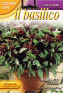 yFRANCHIЁzy13/9z^CoWEThai Siam yXΉz