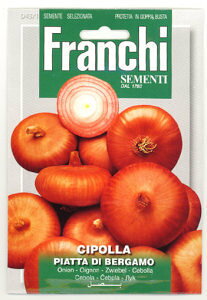 �yFRANCHI�Ёz�y43/1�z�I�j�I�� (�^�}�l�M) PIATTA DI BERGAMO �y�X���Ή��z