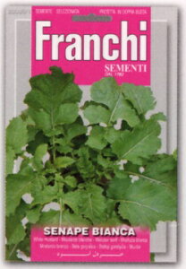 yFRANCHIЁzy3006/1zzCg}X^[hyXΉz