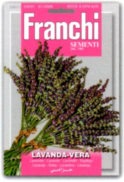 まとめ買い特価 種子 FRANCHI社 87 数量限定アウトレット最安価格 1 ラベンダー 郵送対応