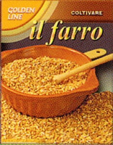 yFRANCHIЁzy60/80zXyg@t@b yz֑Ήz