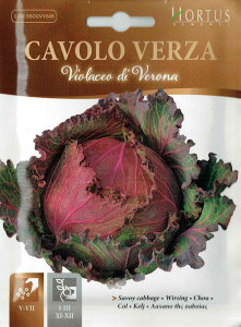 yHORTUSЁzT{CLxc Verza violaceo di verona@5g@[1351][COD.BSOCVV008]yXΉz