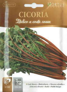 yHORTUSЁz[t`R[@CICIRIA ITALICO A COSTA ROSSA@10g@[1751][COD.BSOCIC107]yXΉz