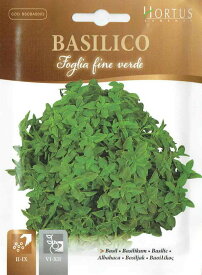 【HORTUS社】バジル（バジリコ）　Foglia fine verde　5g　[0261][COD.BSOBAS003]【郵送対応】