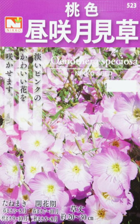 楽天市場 日光種苗 桃色昼咲月見草 0 2ml 約400粒 523 春 秋 郵送対応 日光種苗