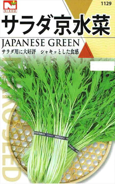 楽天市場 日光種苗 サラダ京水菜 ミズナ 5ｍl 1129 春 秋 郵送対応 日光種苗