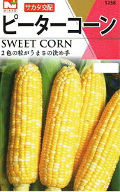 楽天市場 野菜 苗 トウモロコシの通販