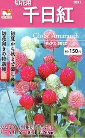 日光種苗　千日紅（センニチコウ）のタネ[内容量：0.3ml]【1091】【春】