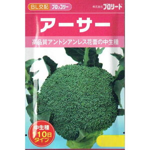 �u�����[�h�@�u���b�R���[ �A�[�T�[ ��100���y�X���Ή��z