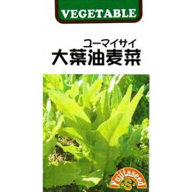藤田種子　大葉油麦菜（ユーマイサイ）　2ml【郵送対応】