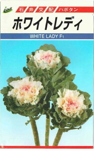 Έ@n{^@zCgfB@[eʁF50]