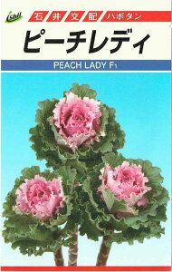 Έ@n{^@s[`fB@[eʁF50]