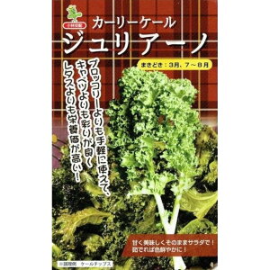 юc@J[mP[@WA[m@[eʁF100]