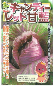 юc@Lxc LfB[bh@[eʁF1ml]