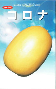 _c_@܂키@Ri@[eʁF1.2ml]