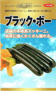 _c_@YbL[j@ubNE{[@[eʁF10]