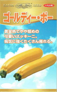 _c_@YbL[j@S[fBE{[@[eʁF10]