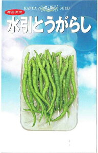 �_�c���_��@�����Ƃ����炵�@[���e�ʁF1.2ml]