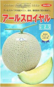 _c_@@A[XC[Čn]@[eʁF7]