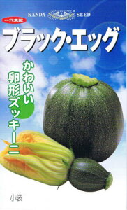 _c_@YbL[j@ubNEGbO@[eʁF10]