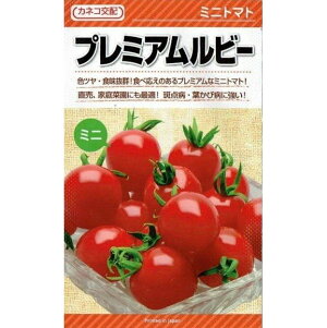 JlRc@~jg}g@v~Ar[@[eʁF10]