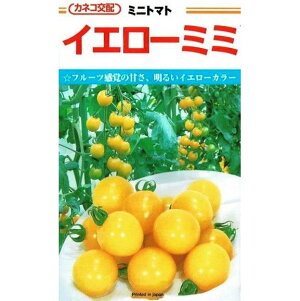 �J�l�R��c�@�~�j�g�}�g�@�C�G���[�~�~�@[���e�ʁF��10��]