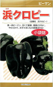 �J�l�R��c�@�s�[�}���@�l�N���s�[�@[���e�ʁF1.2ml]