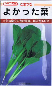 JlRc@؁E悩؁@[eʁF20ml]