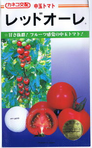 JlRc@g}g@bhI[@[eʁF12]