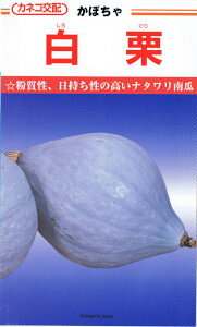 JlRc@ڂ@Ii낮j [eʁF12]