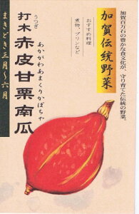 ������c �`����� �ŖؐԔ�J�{�`�� 12ml �y�X���Ή��z