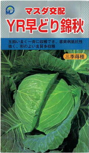 }X_z@Lxc@YRǂяH@[eʁF180]