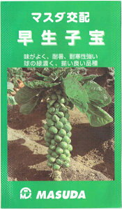 c̎@}X_z@Lxc@q me:100n