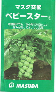 c̎@}X_z@Lxc@xr[X^[ me:100n