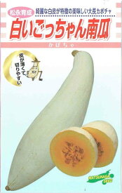楽天市場 白 かぼちゃ 種の通販