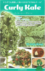 松永種苗　ケール　カーリー・グリーン　コート種子約30粒【郵送対応】