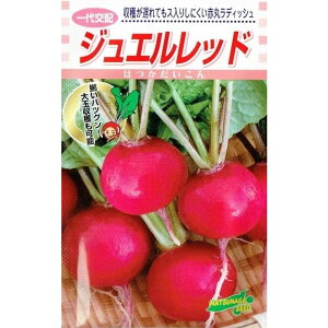 ic@ncJ_CR@WGbh@5ml@yXΉz