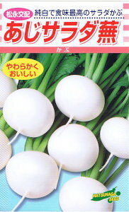 松永種苗 かぶ あじサラダ蕪 3.5ml 【郵送対応】