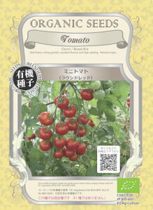 yL@qz ~jg}g Ehbh 50yXΉz