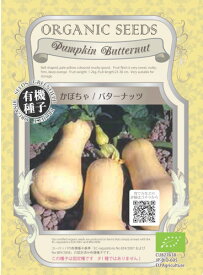 【有機種子】 カボチャ（バターナッツ） 2.5g【郵送対応】