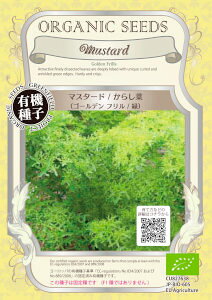 yL@qz 炵؃S[fti΁j 0.8g(500)yXΉz