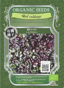 yL@qz XvEgEԃLxc 11g(3200)yXΉz