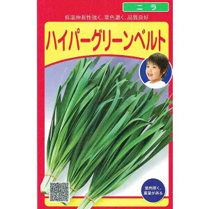 c@j@nCp[O[xg@20ml yXΉzyi햼FnCp[xg_o^ԍF23836_COo֎~z