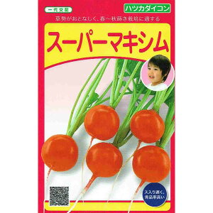 c@卪@X[p[}LV@4mlyXΉz