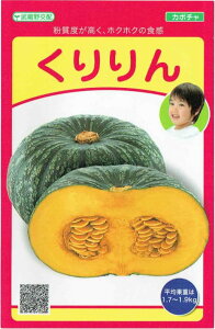 �������c���@�J�{�`���@������@��6���y�X���Ή��z