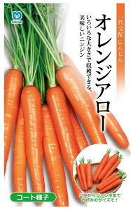 ێ@IWA[lQ@R[gq 260iɂ񂶂EjWj yXΉz