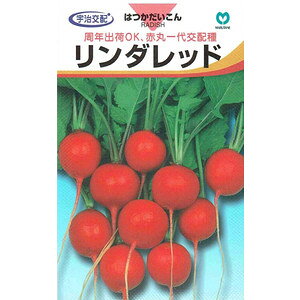 Fz 20卪@_bh 230@yXΉz